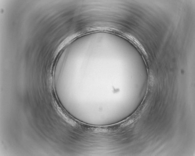 X0000087680890200705251641