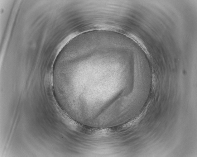 X0000087680891200705251641