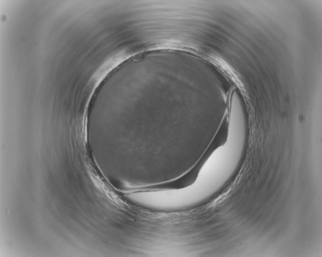 X0000087680892200705251641