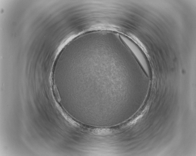 X0000087680893200705251641