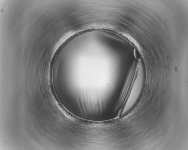 X0000087680894200705251641