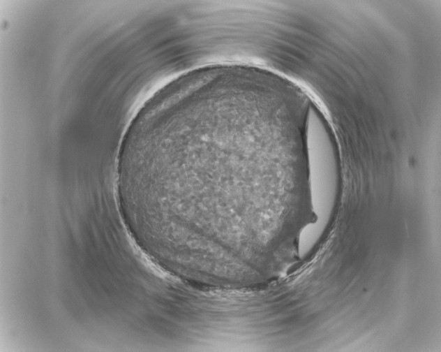 X0000087680895200705251641