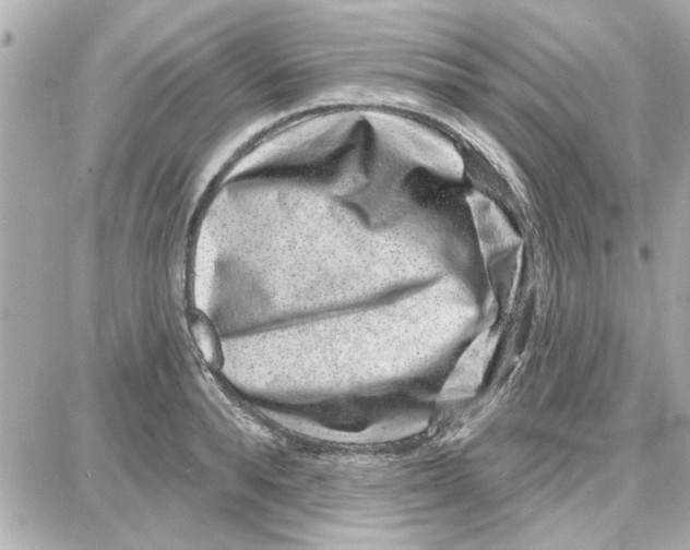 X0000087680896200705251641