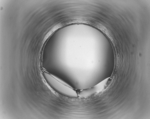 X0000087680898200705251641