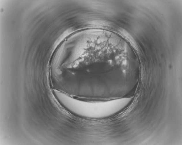 X0000087680899200705251641