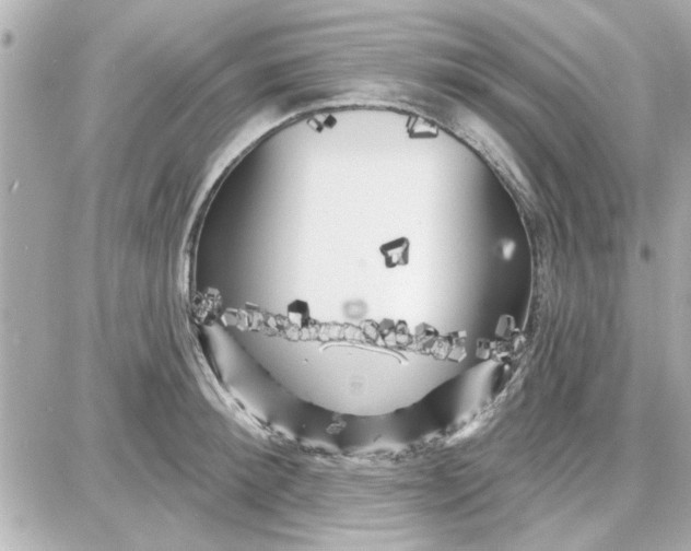 X0000087680900200705251641