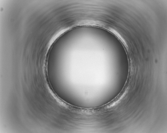 X0000087680901200705251641