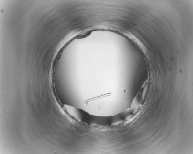 X0000087680902200705251641