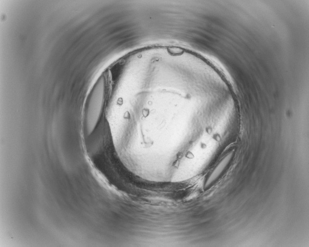 X0000087680903200705251641