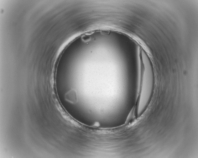 X0000087680904200705251641