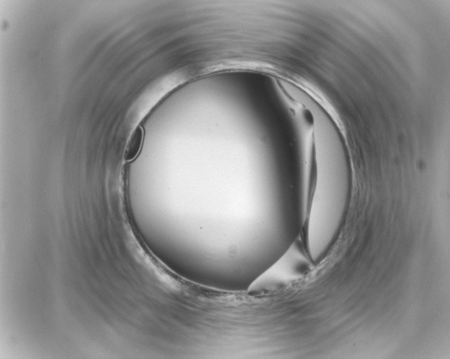 X0000087680906200705251641