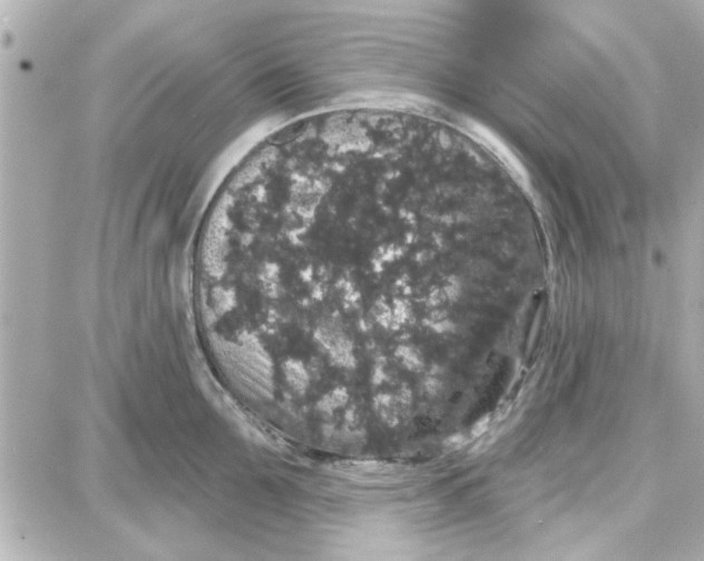 X0000087680907200705251641