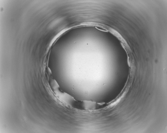 X0000087680908200705251641