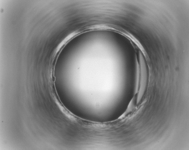 X0000087680909200705251640