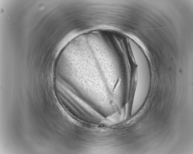 X0000087680910200705251640