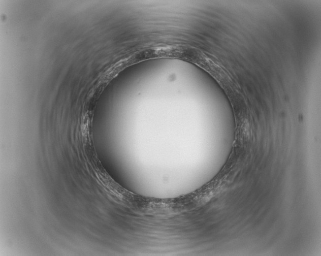 X0000087680914200705251640