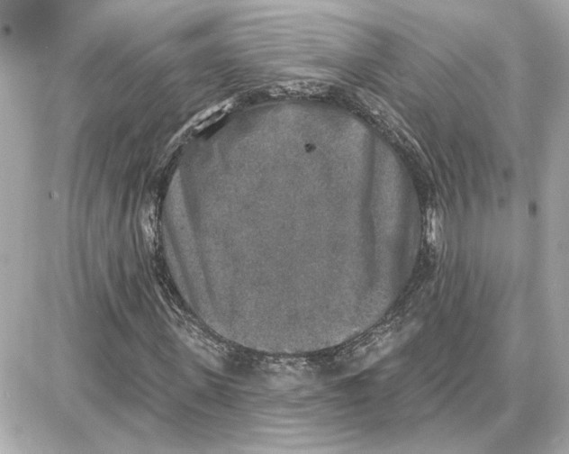 X0000087680915200705251640