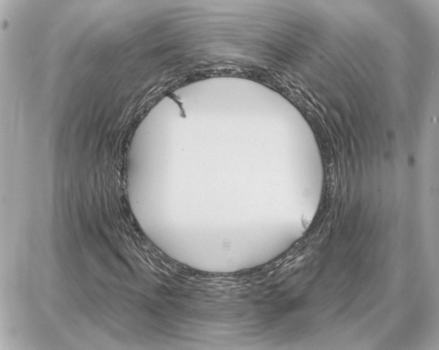 X0000087680916200705251640