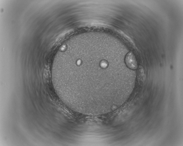 X0000087680918200705251640