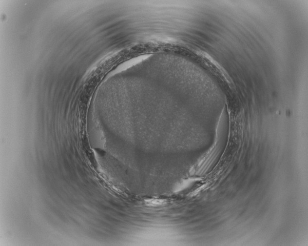 X0000087680919200705251640