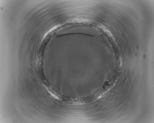 X0000087680920200705251640