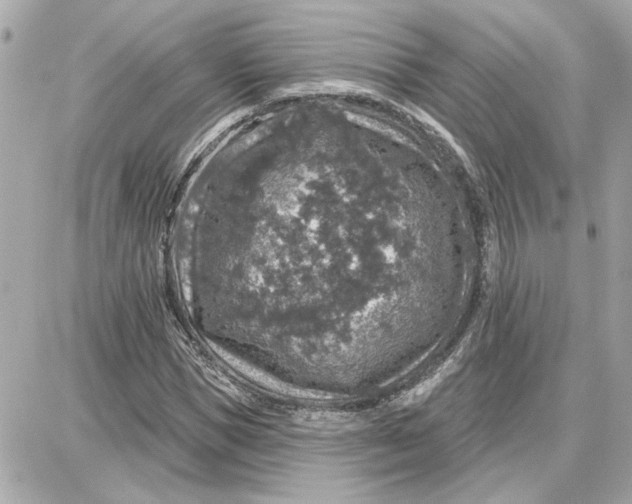 X0000087680921200705251640