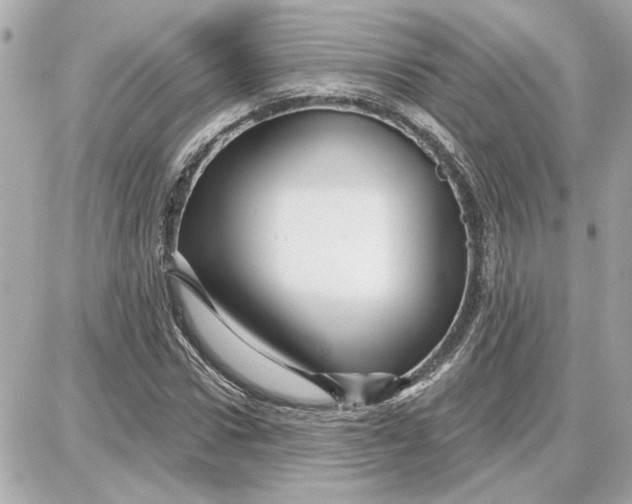 X0000087680922200705251640