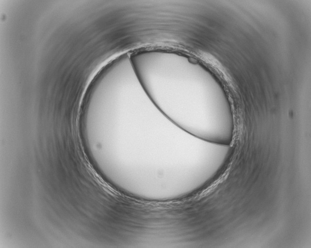 X0000087680924200705251640