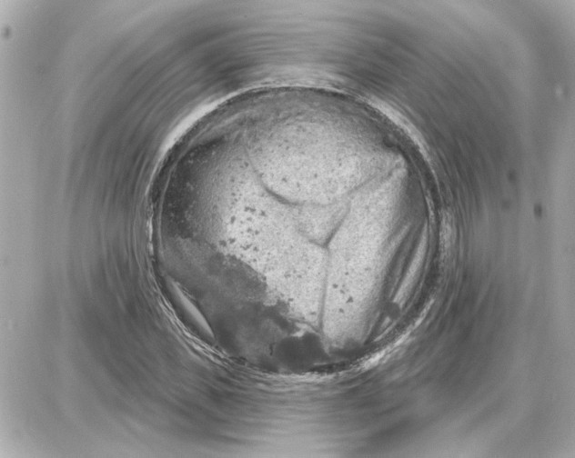 X0000087680925200705251640