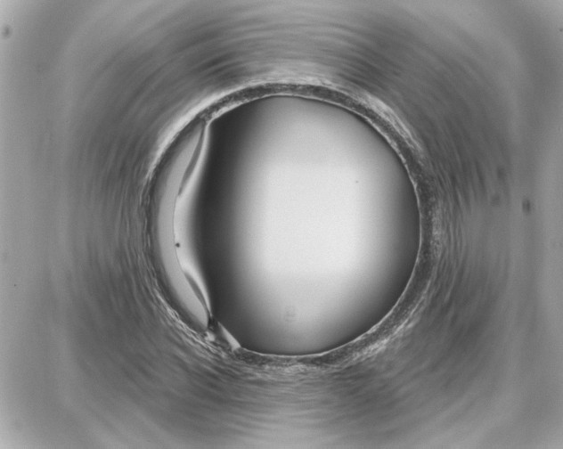 X0000087680926200705251640