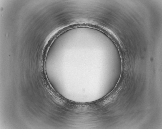 X0000087680927200705251640