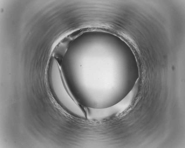 X0000087680928200705251640