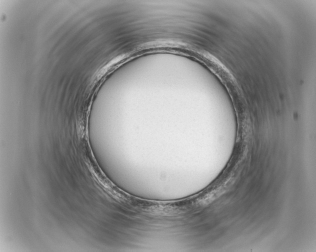 X0000087680929200705251640