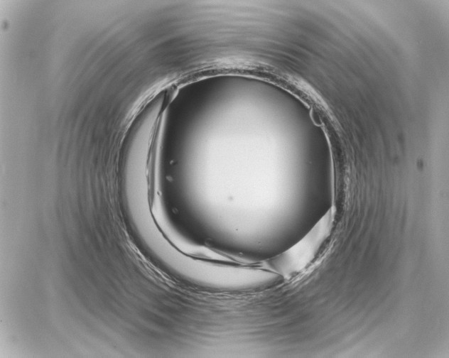 X0000087680930200705251640