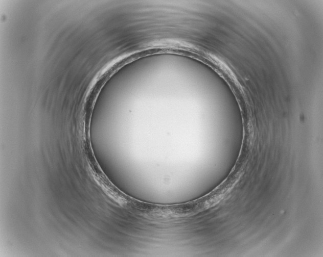 X0000087680931200705251640