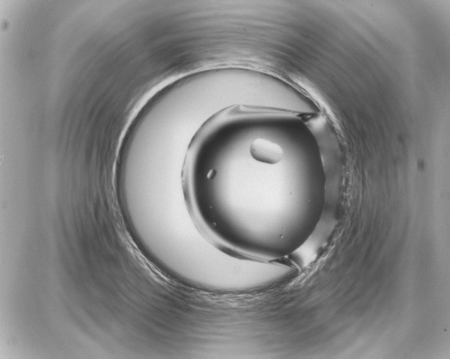 X0000087680932200705251640