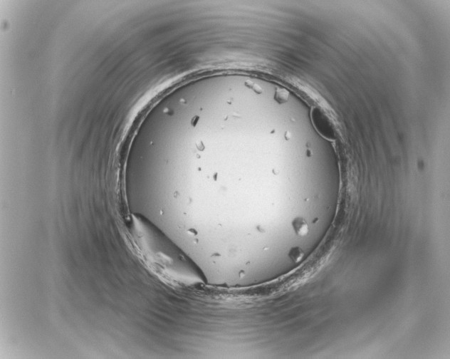 X0000087680933200705251640