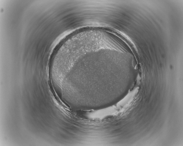 X0000087680935200705251640