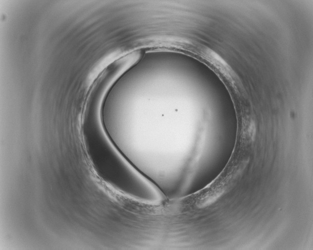 X0000087680936200705251640