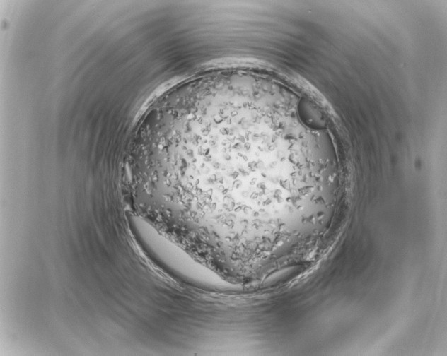 X0000087680937200705251640