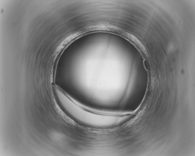 X0000087680938200705251640