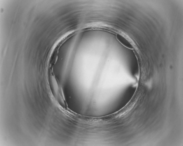 X0000087680939200705251640