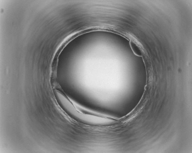 X0000087680940200705251640