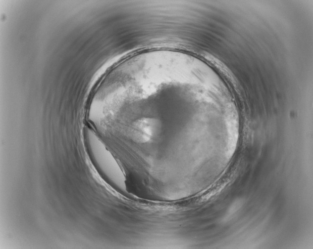 X0000087680941200705251640