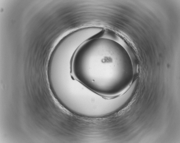 X0000087680942200705251640