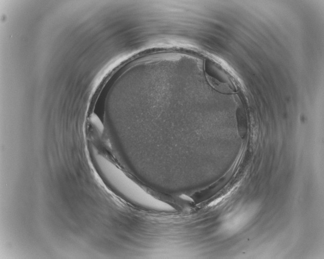 X0000087680943200705251640