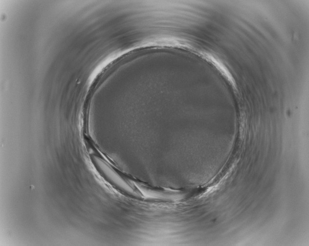 X0000087680944200705251640