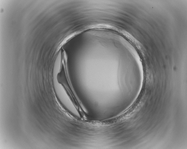 X0000087680945200705251640