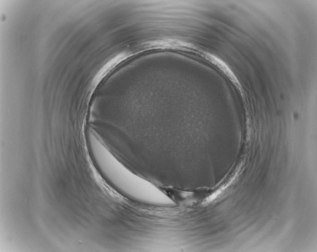 X0000087680946200705251640