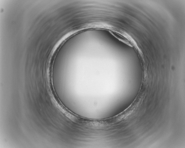 X0000087680947200705251640